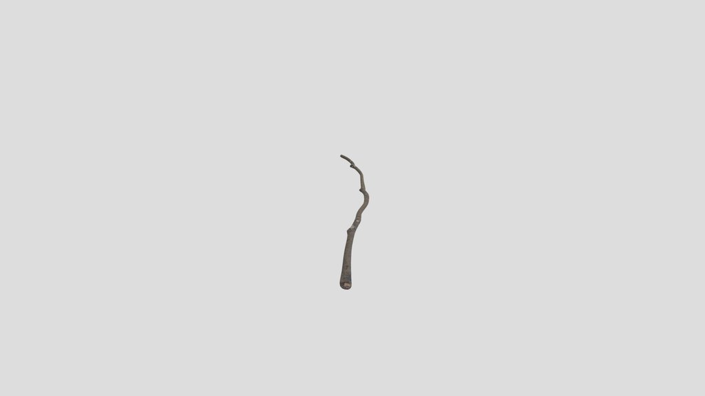 Debris And Twigs