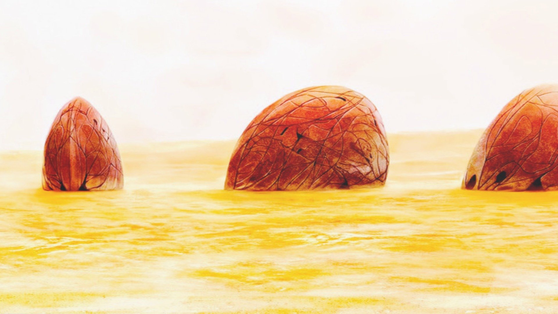ztr location