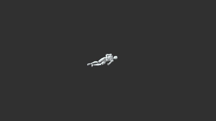 Sleeps On His Side And Twitches 3D Model