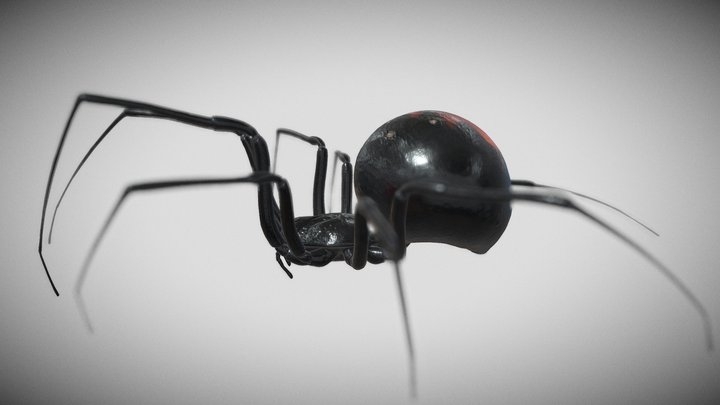 Black widow 3d model 3D Model