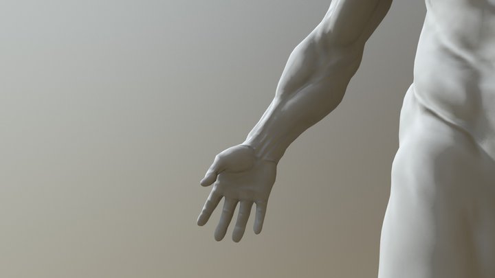Man-anatomy-study (1) 3D Model