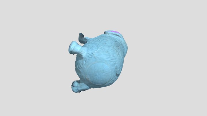 Dubi color 3D Model