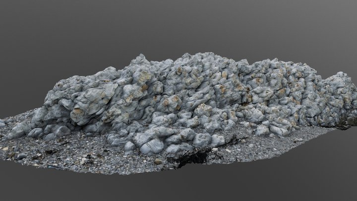 Kaikoura ocean Rock 3D Model