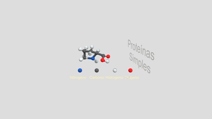 Holoproteina Prolina - Diseño 3D 3D Model