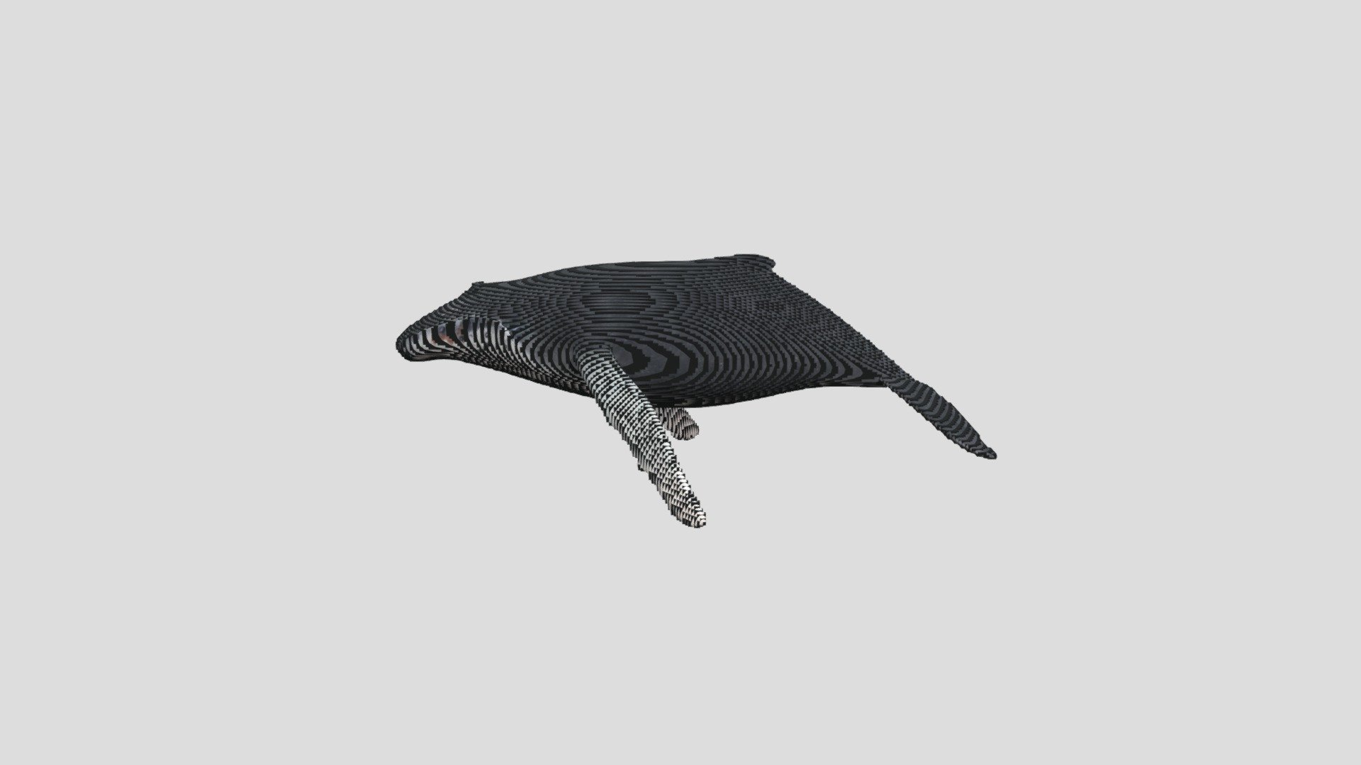 DTS4.2_CUINDA_Y1_Guitar_H03_WHALE