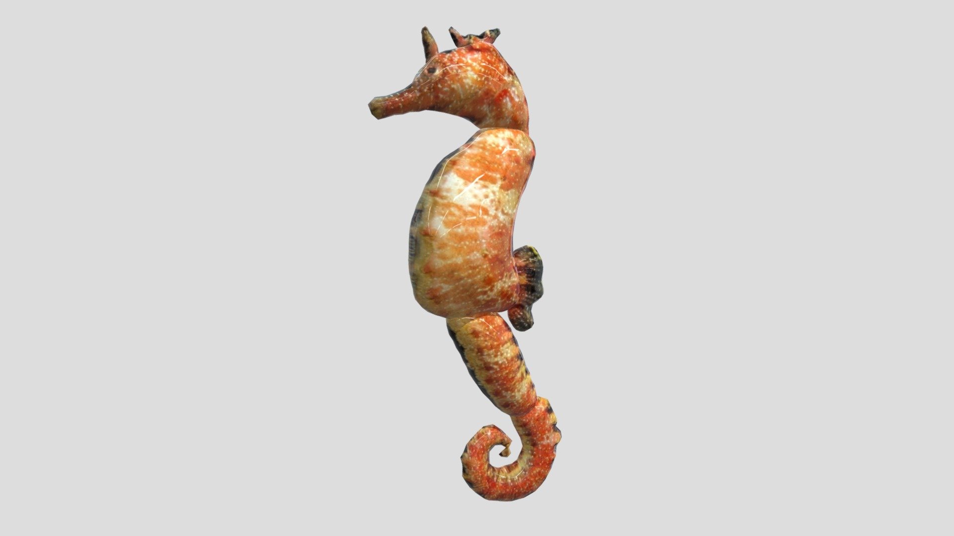 Smoothie 3D + Blender Seahorse