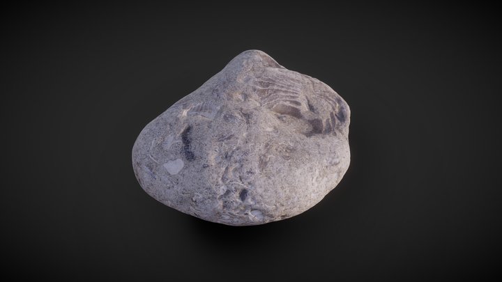 Fossil Rock 3D Model