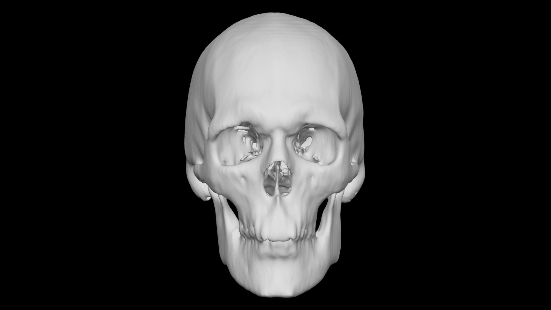 Skull Male no age
