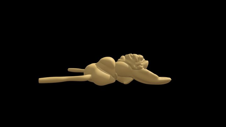 Brain of the Tiger Shark 3D Model