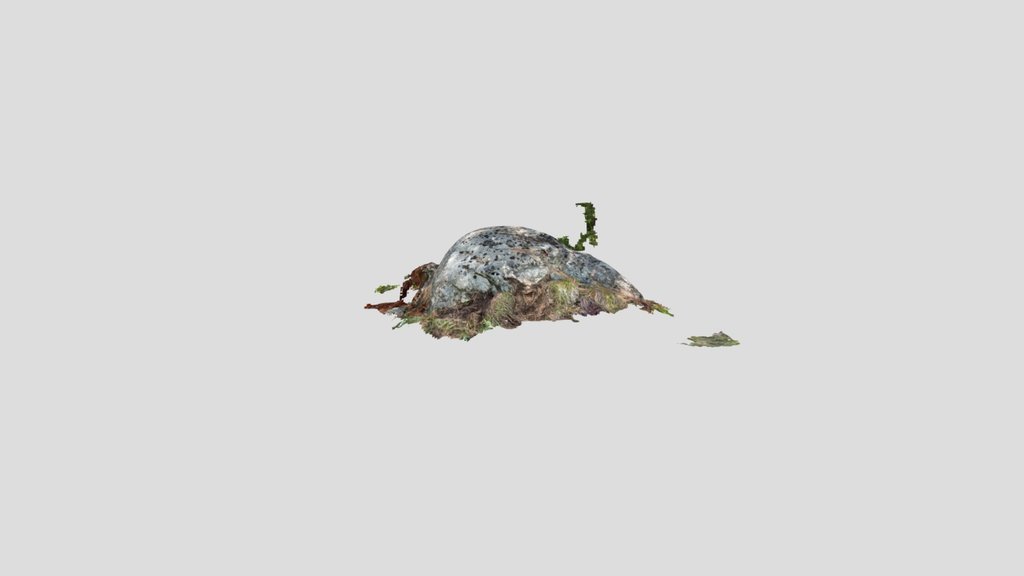 LHS-Qgto-MC5-1-Bull Lake Sampled