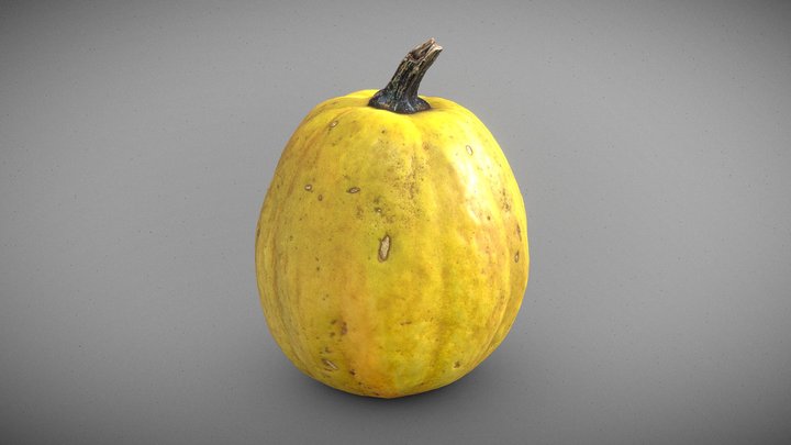 Pumpkin Drying Yellowed – Kostenloses 3D-Modell STL