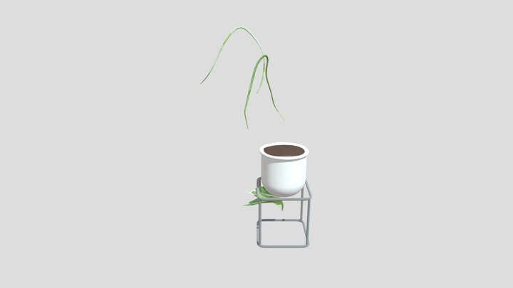Ivy Plant In White Pot Cube