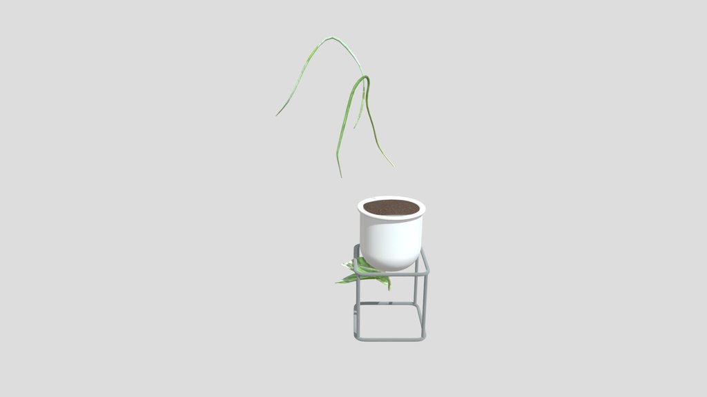 Ivy Plant In White Pot Cube