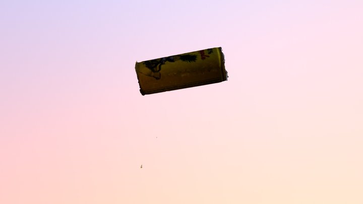 can 3D Model