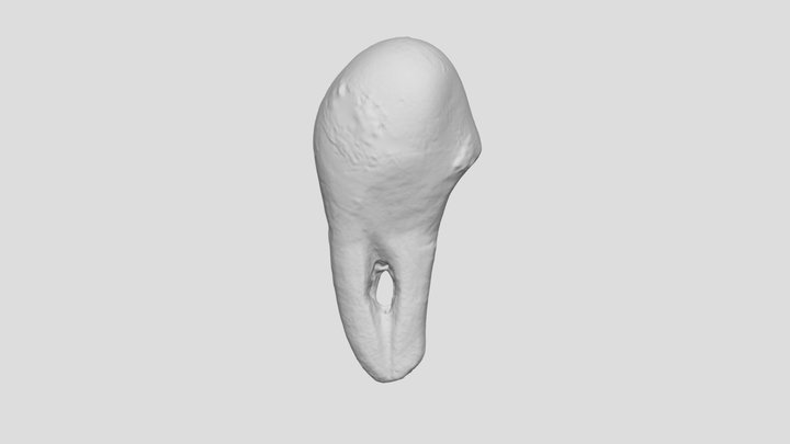 Exp. 27 Perforated 3D Model
