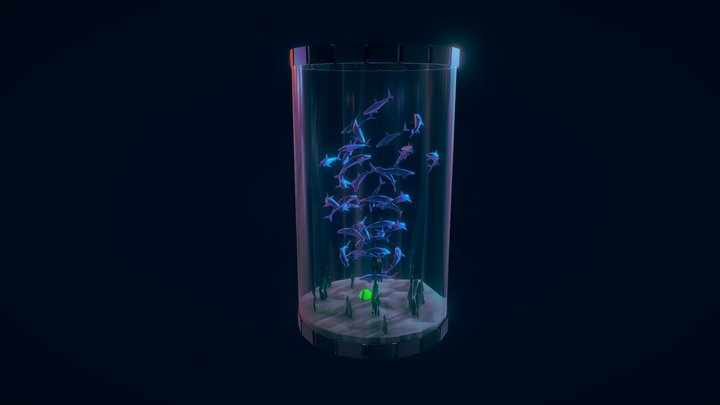 rekinki z woda!!!! 3D Model