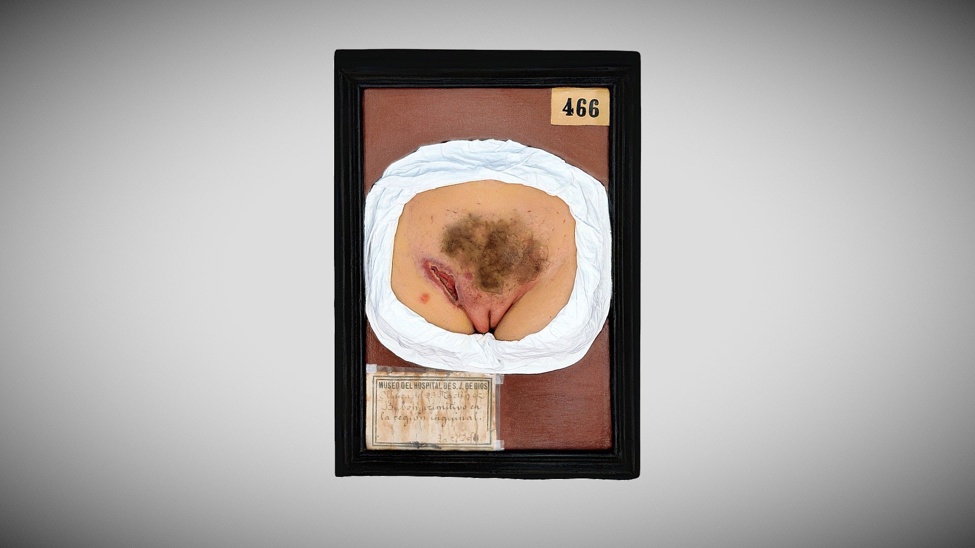 343 - 254 — Sketchfab embed 3D viewer