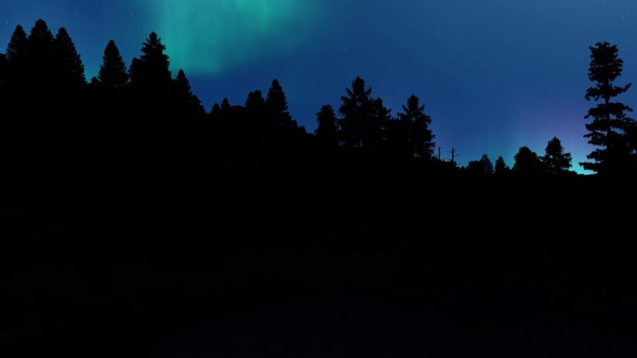 SKY BOX 8K - NIGHT FOREST SCENE WITH AURORA SKY 3D Model