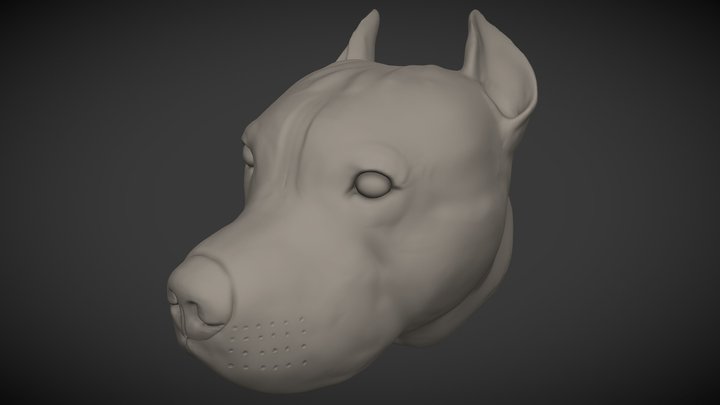 Pitbull head 3D Model