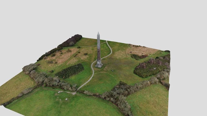 Gilberts Monument - Bodmin Cornwall 3D Model