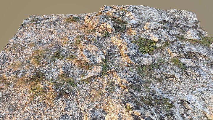 Terrain detail 3D Model