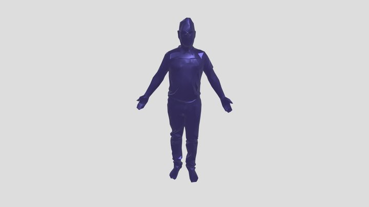 Animation_ Big_ Wave_ Hello – Modelo 3D gratuito STL