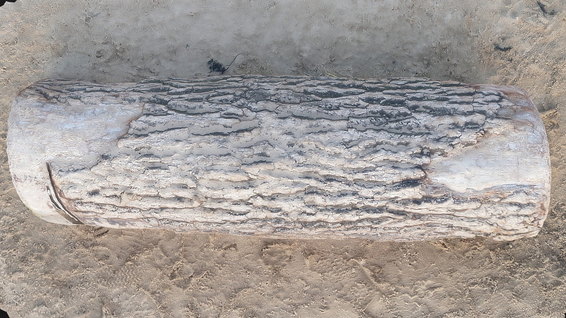 Beach Log
