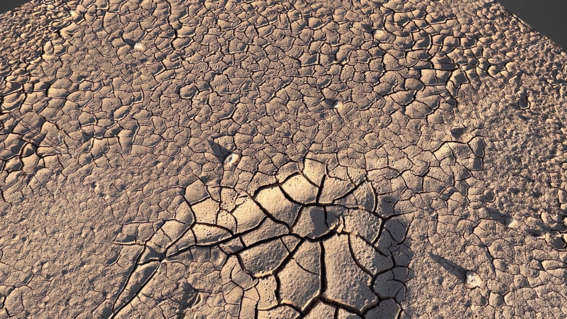 Mudcracks with raindrop impressions