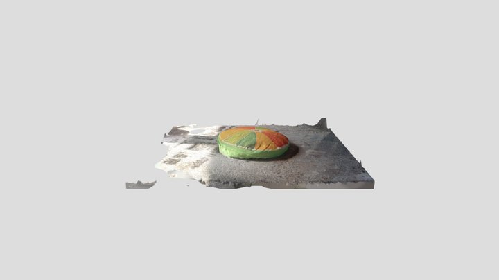 Citrus pillow n2 3D Model