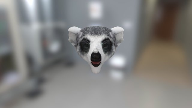 Lemur 3D Model