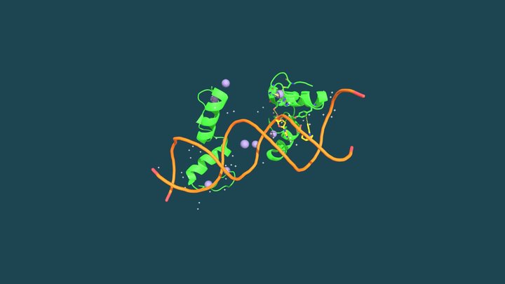 Tour of the human oncoprotein, ZN217 3D Model
