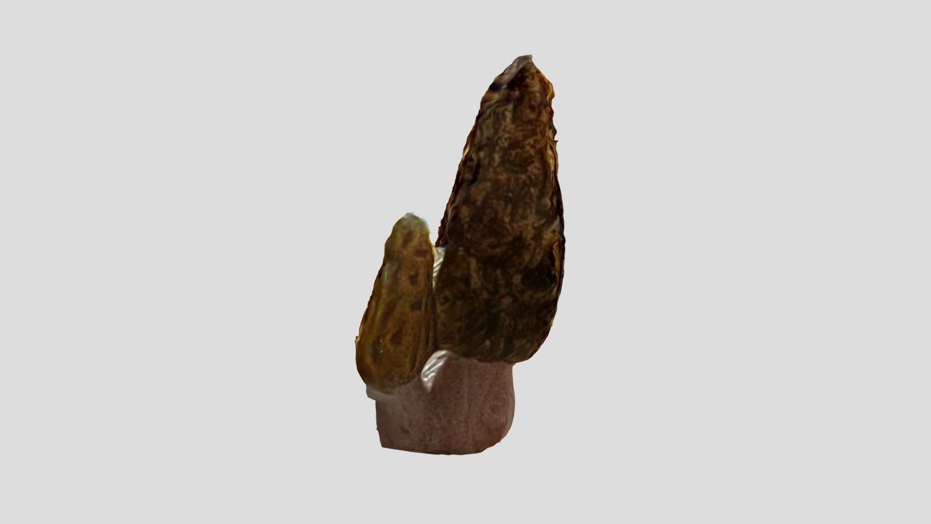 mushroom