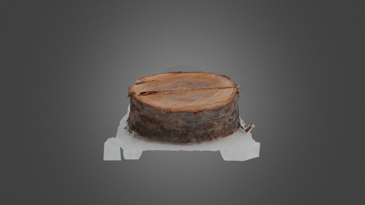 Wood oak – Modello 3D gratuito STL