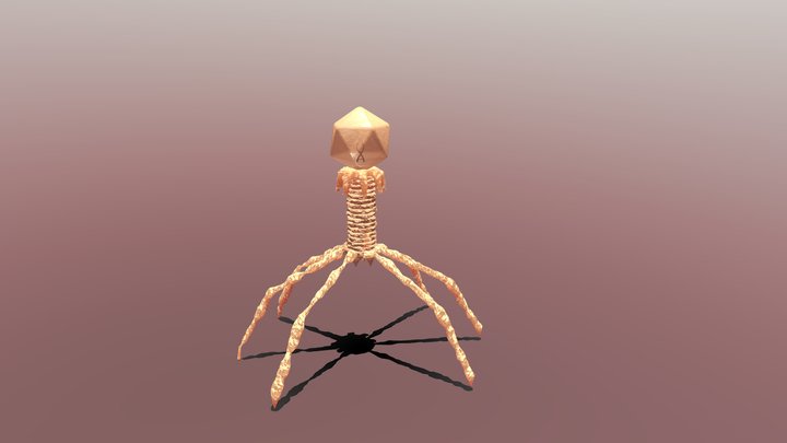 Bacteriophage 3D Model