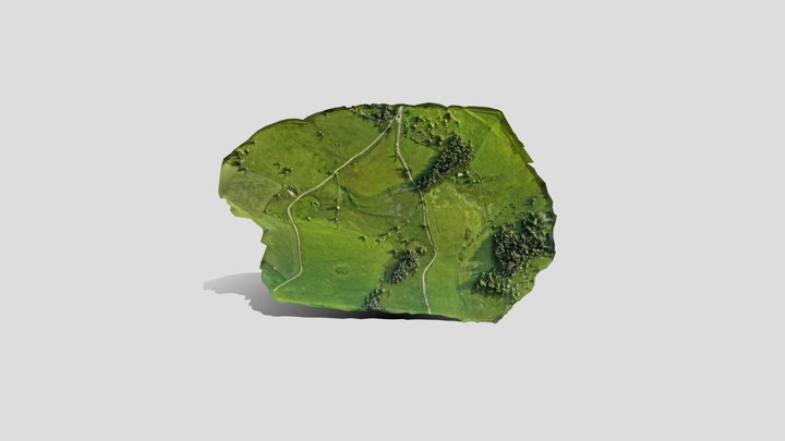 dromares 3D 3D Model