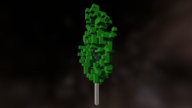 Poplar Tree 3D Model