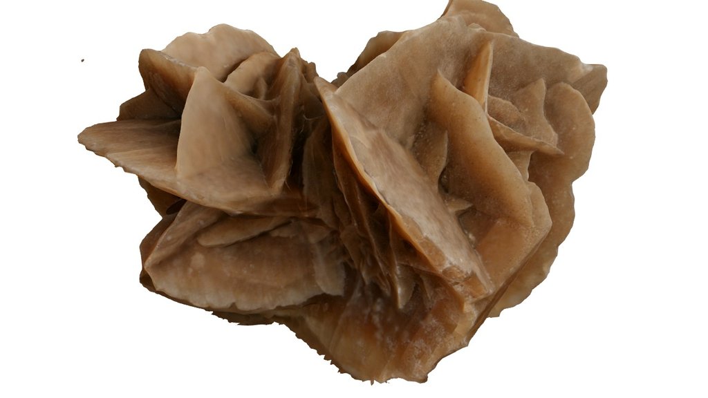 Desert Rose - 3D model by Luis (@habitainer) [a63ea49]