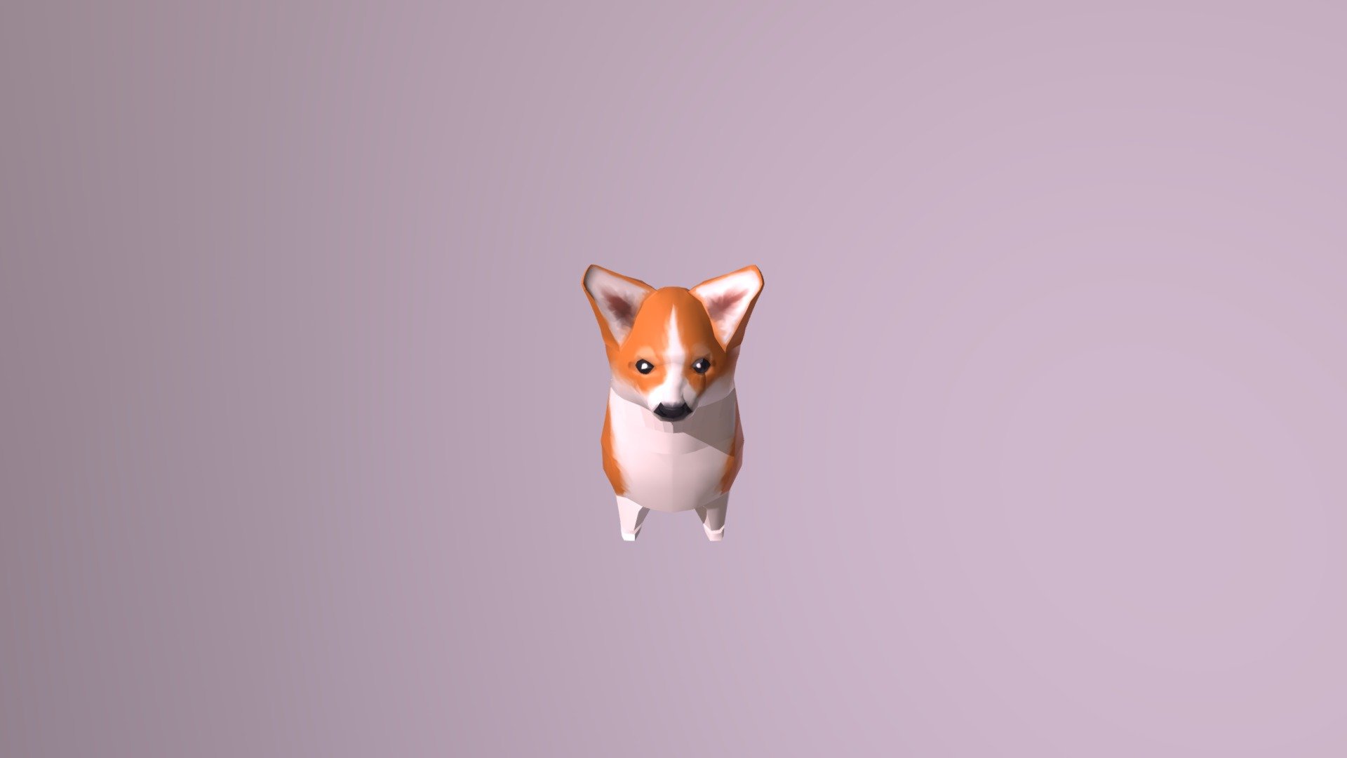 Corgi