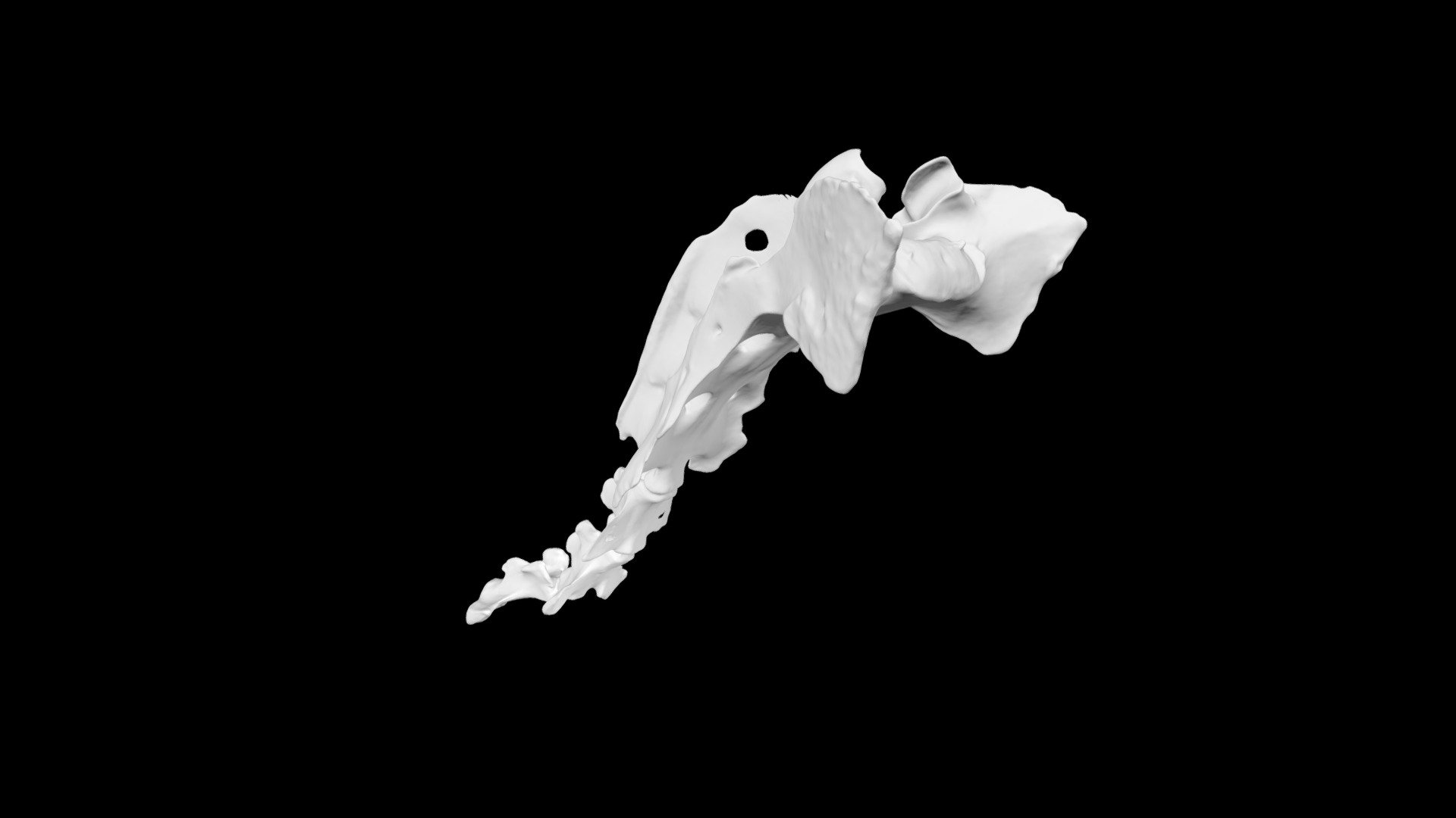 Deer Sacrum - Download Free 3D Model By Eric Bauer (@ebauer4) [a642163 ...