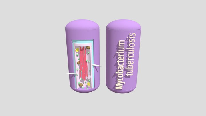 MICROUGHS_Mycobacterium_tuberculosis_AVM 3D Model