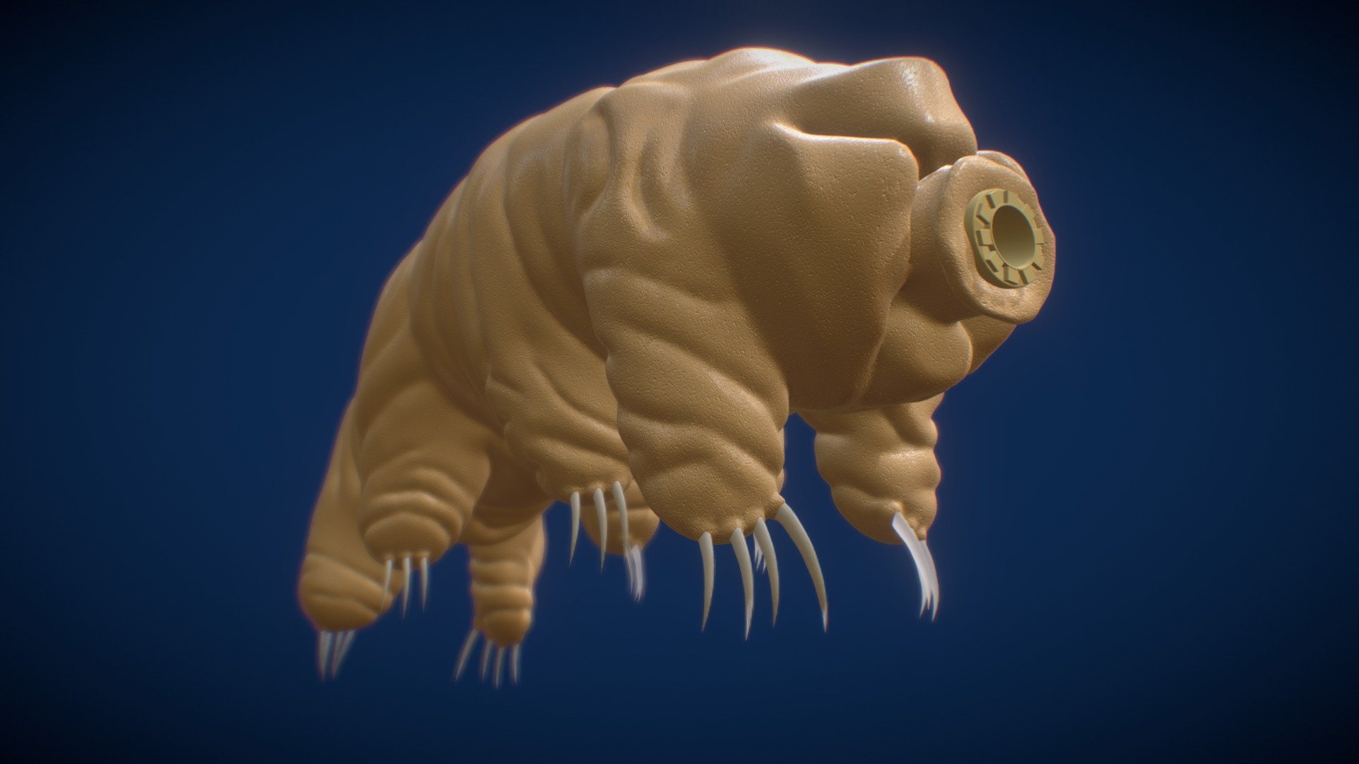 SculptJanuary20180111