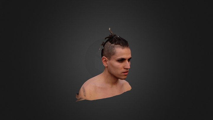 JASPIT NAA 3D Model