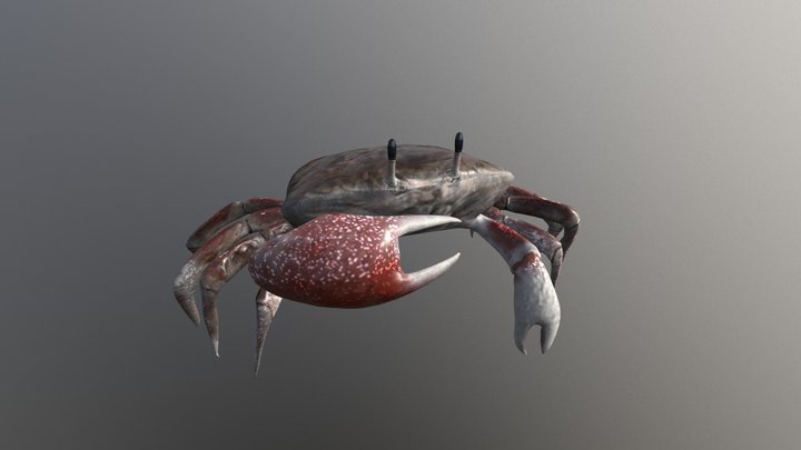 Crab 3D Model