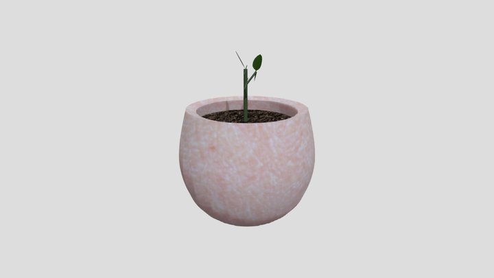 SKINPOT 3D Model
