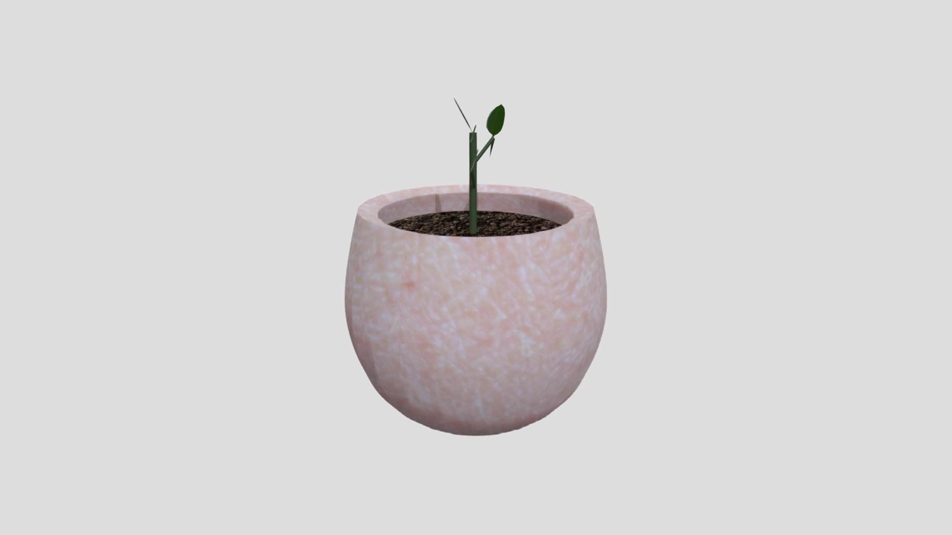 SKINPOT