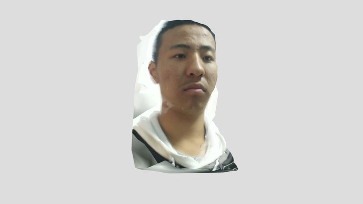 第三次自我测试 – Kostenloses 3D-Modell STL