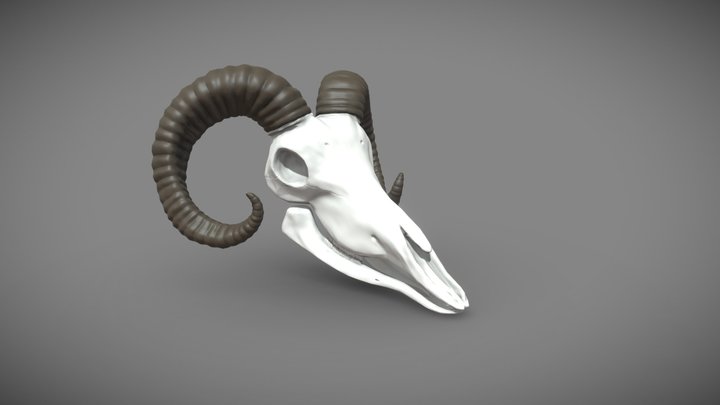 Stylized Ram Skull 3D Model