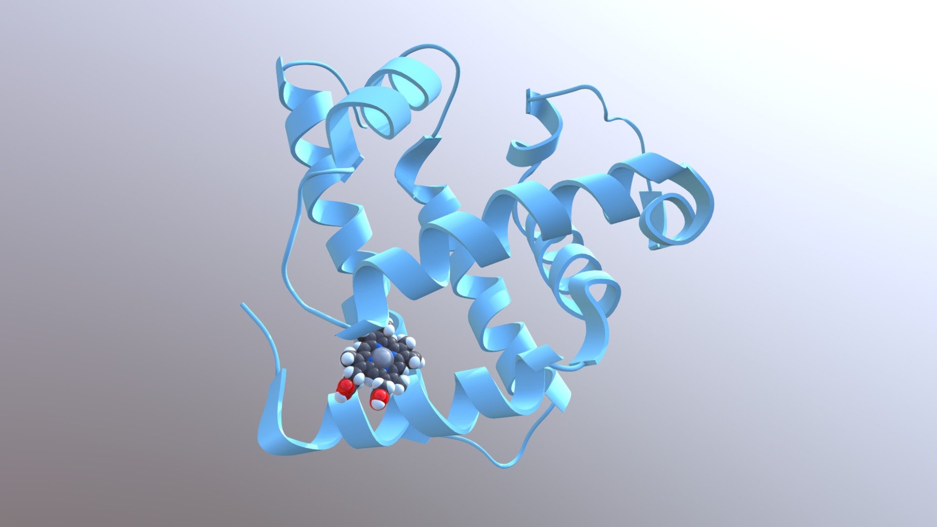 mioglobin