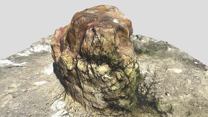 Parko_Plaka_Petrified_Forest_Lesvos No.(F6) 3D Model