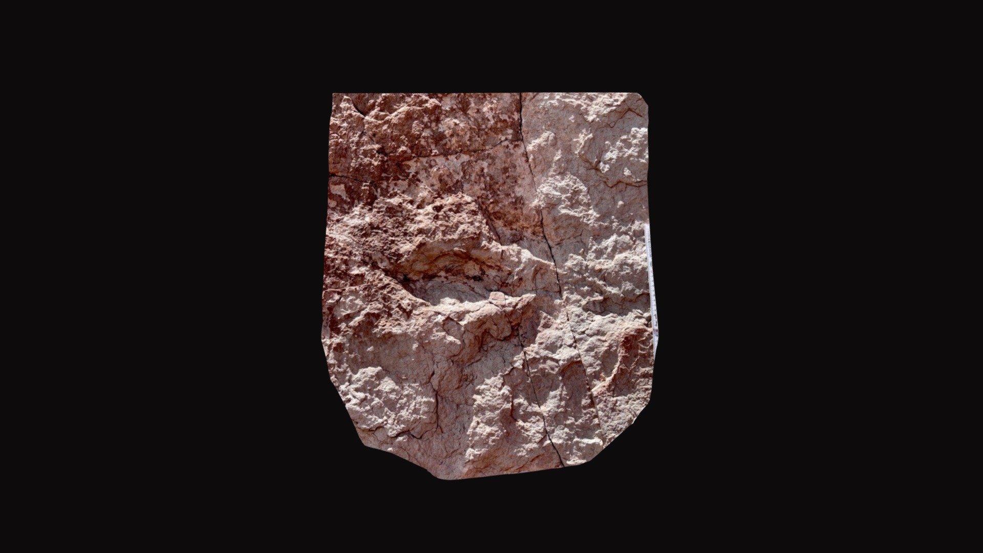 Kayenta Formation track large upper bed